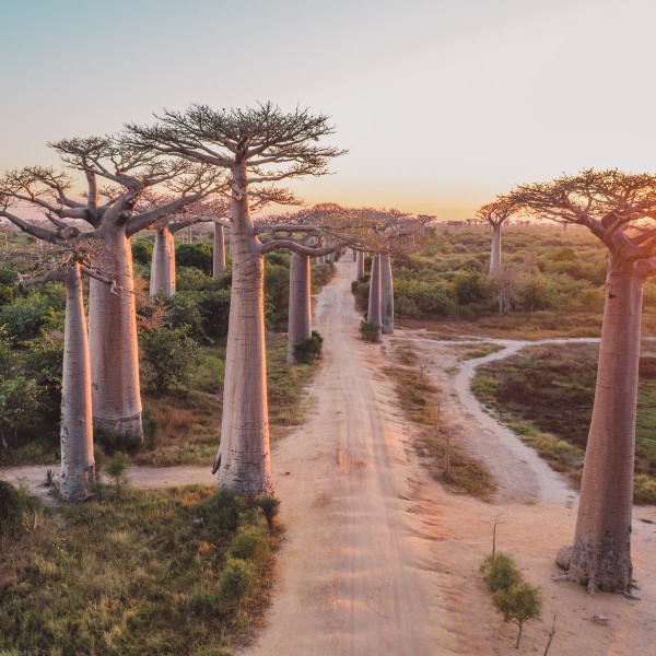 פיאנרנצואה – גן העדן הנסתר של ברזיל מחכה לכם