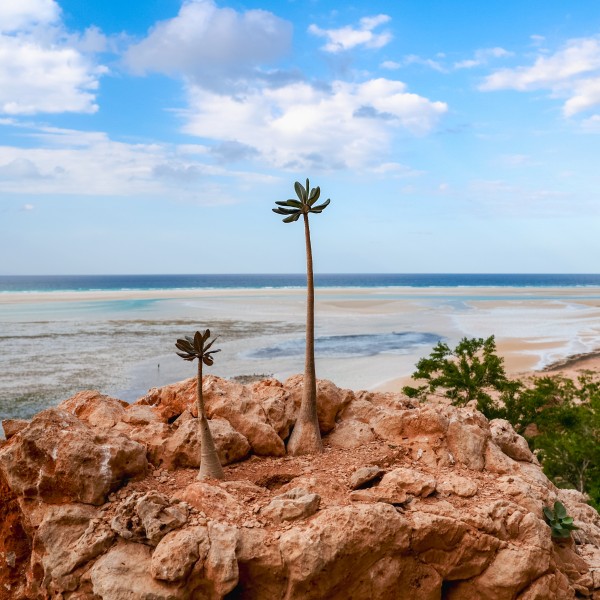 קורל קוסט – גן עדן טרופי עם חופים זהובים וחוויות בלתי נשכחות