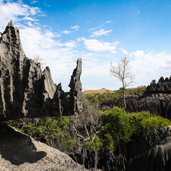 נומזי – הפנינה הנסתרת של מזרח אסיה מחכה לך!