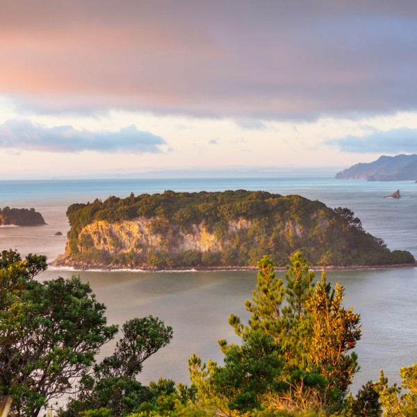 אוקלנד – הלב הפועם של ניו זילנד