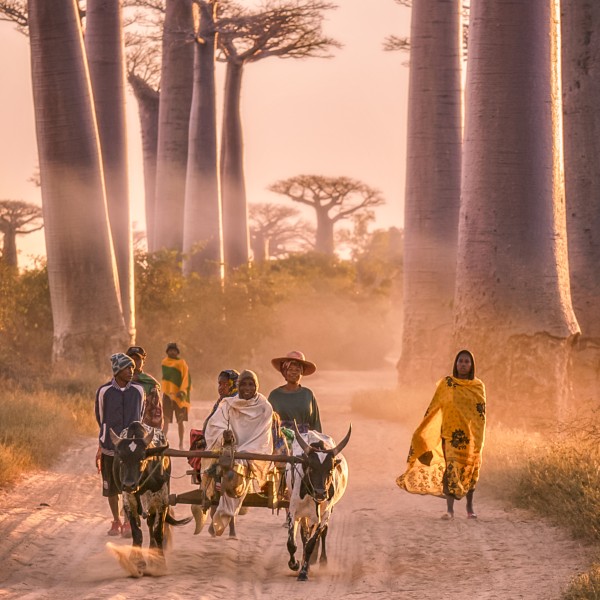 אנטננריבו – הלב הפועם של מדגסקר מחכה לכם!