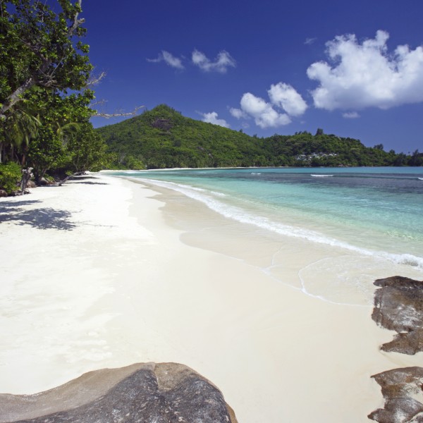 מהה – גן עדן טרופי בוהק באמצע האוקיינוס