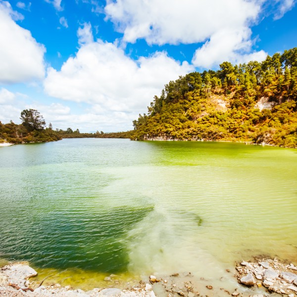 רוטורואה – קסם גיאותרמי וחוויה ניו-זילנדית אמיתית