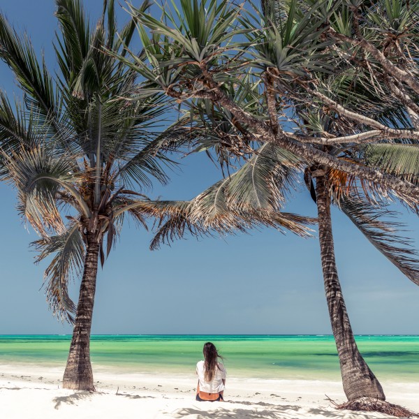 מומבסה – חופשה טרופית מרהיבה על חופי האוקיינוס ההודי