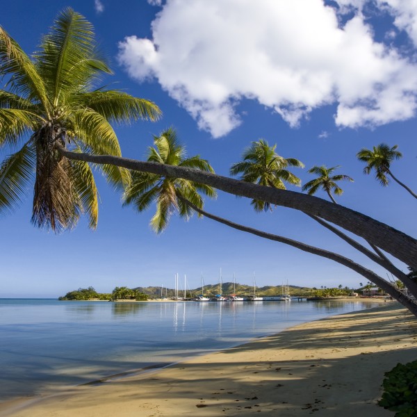 נארואה – גן העדן הסודי של המזרח הרחוק